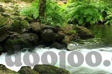 糖心vlogapp官网入口ios-糖心Vlog，解锁生活色彩的精彩入口